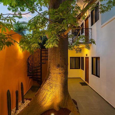 Casa Madero Hotel La Paz Ngoại thất bức ảnh